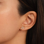 Pendientes Hoja Cristal Chic